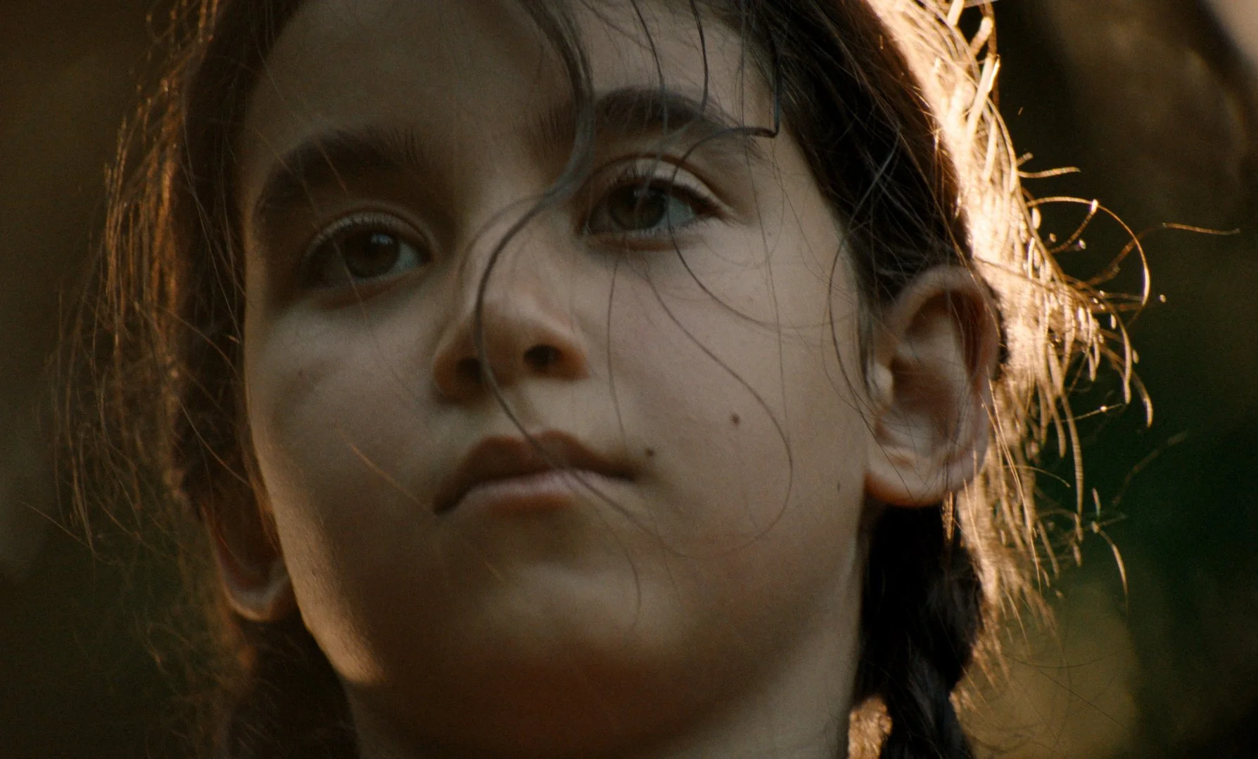 Blue Heron: Sophy Romvari’s Audacious Journey Down the Pathways of Memory