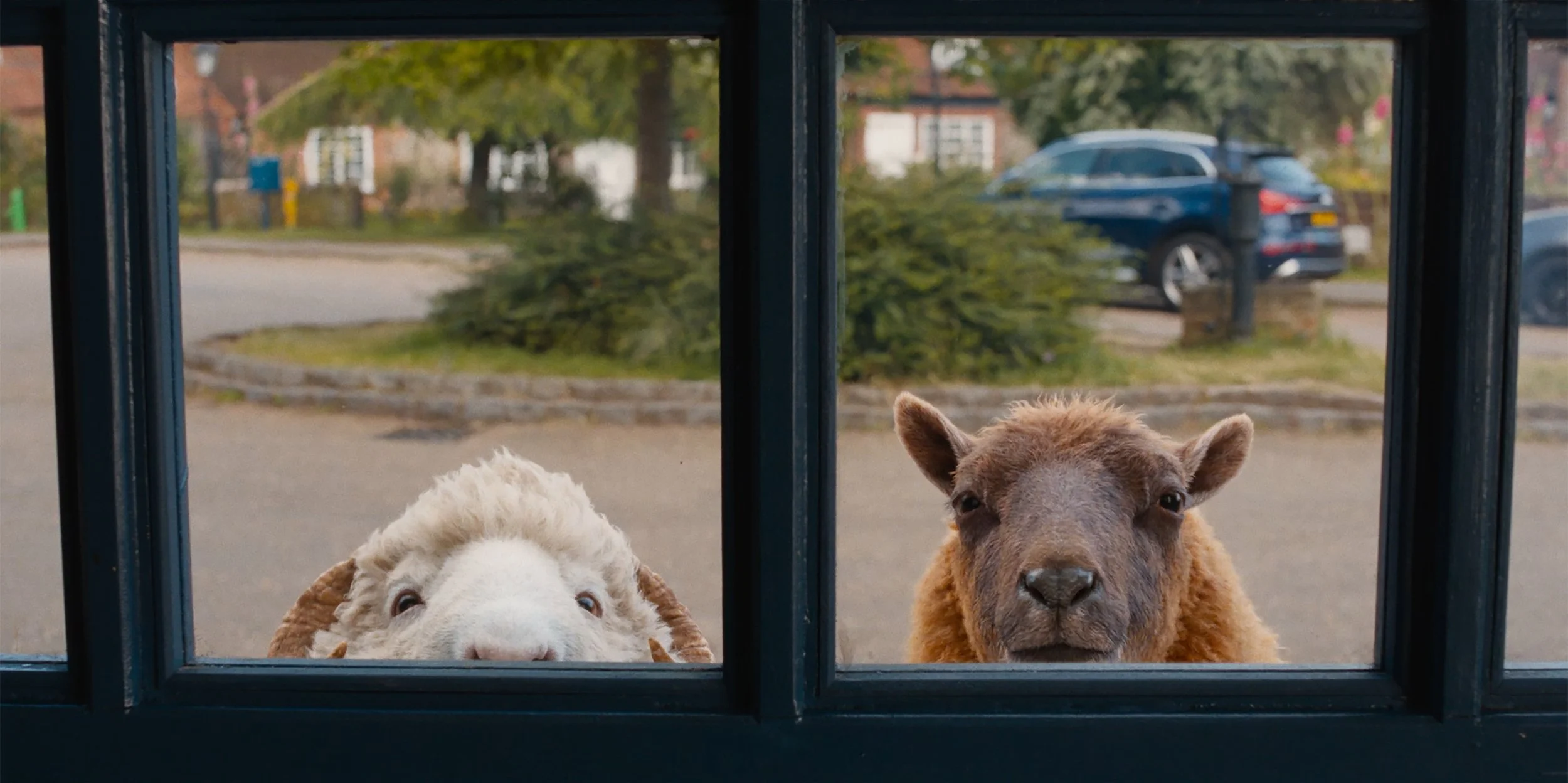 The Sheep Detectives: A Shears Out Mystery That's Far Better Than it Needs to Be
