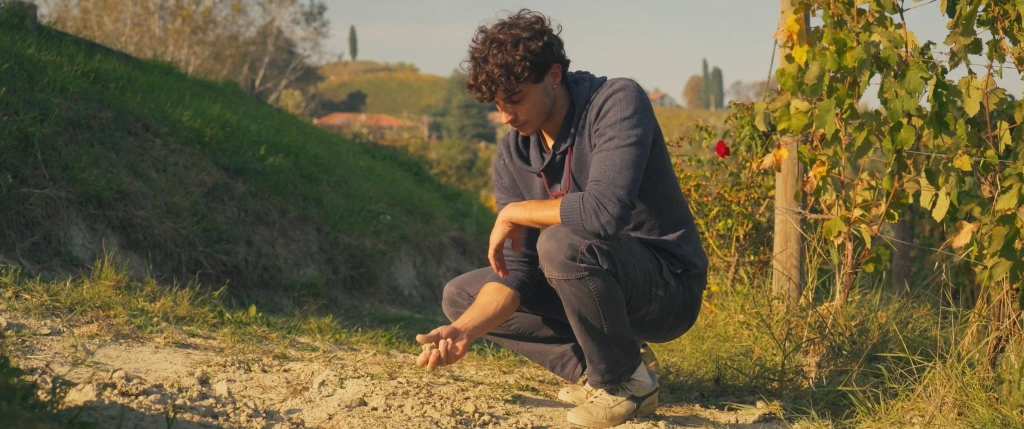 TIFF ’26: What to See at This Year’s Fest, Sept. 11