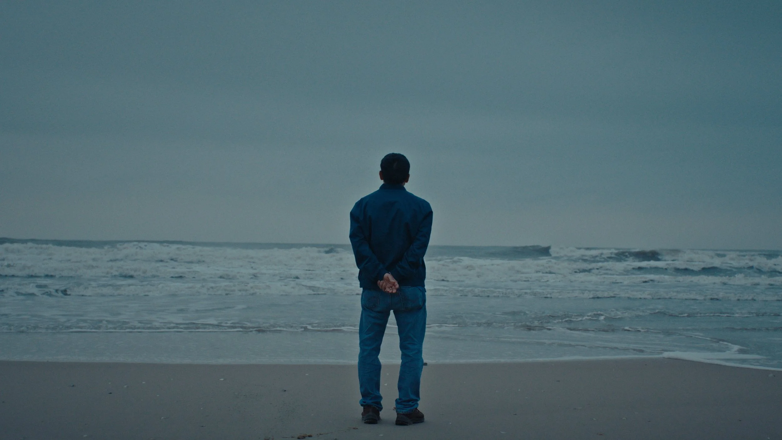 TIFF ’26: What to See at This Year’s Fest, Sept. 12