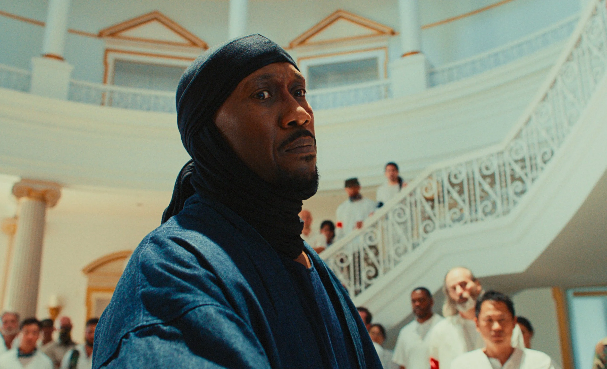 TIFF ’26: What to See at This Year’s Fest, Sept. 18