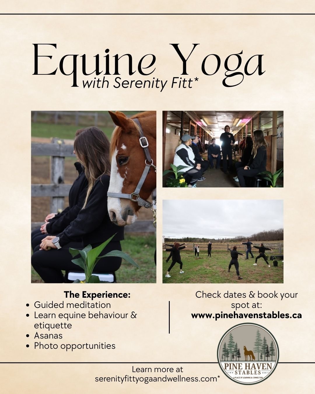 Serenity Horse Yoga