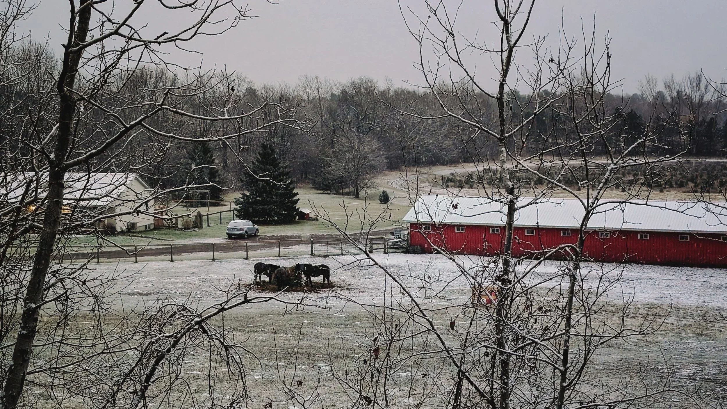 Paddocks