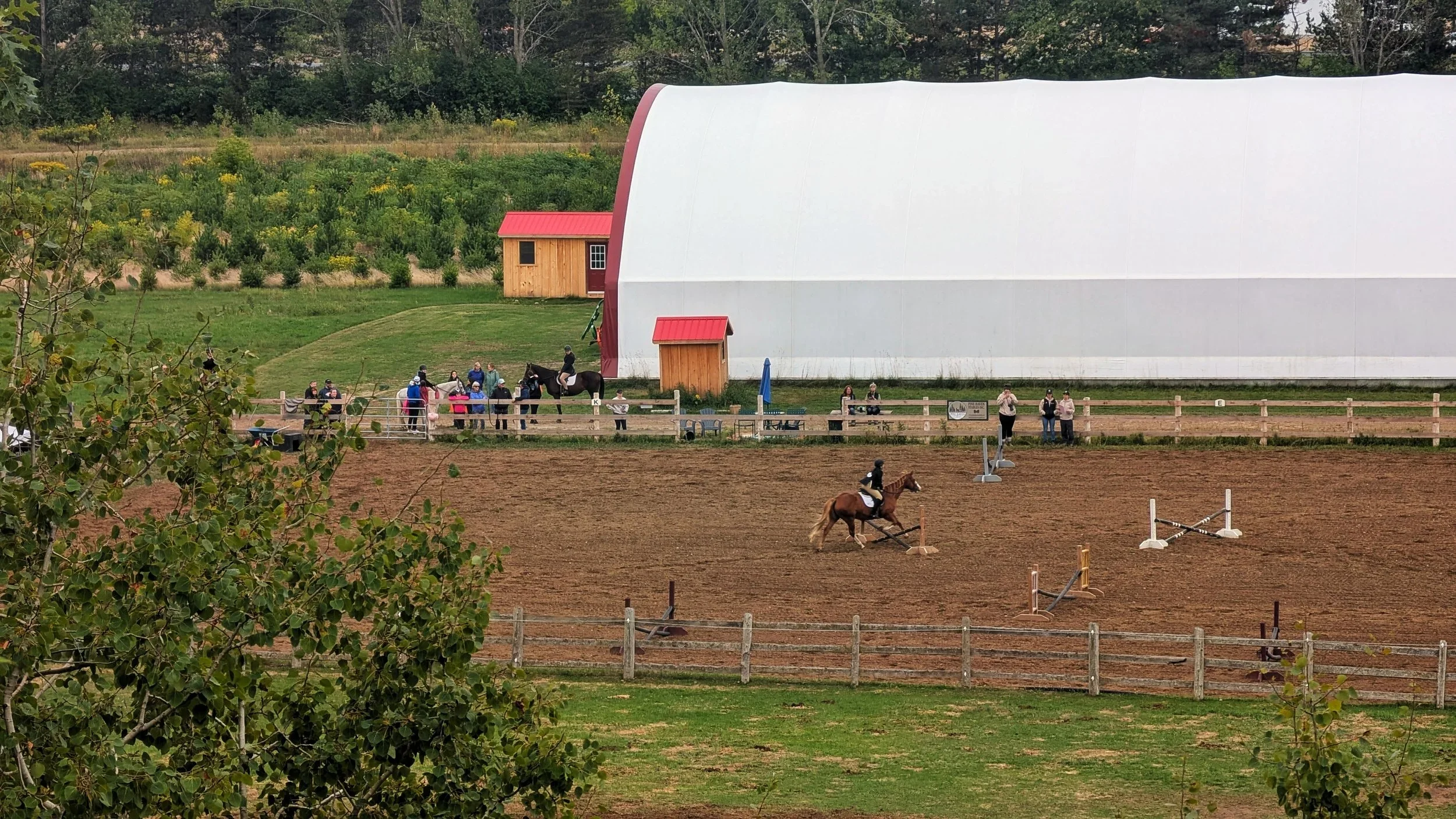 Pine Haven Stables Schooling Series