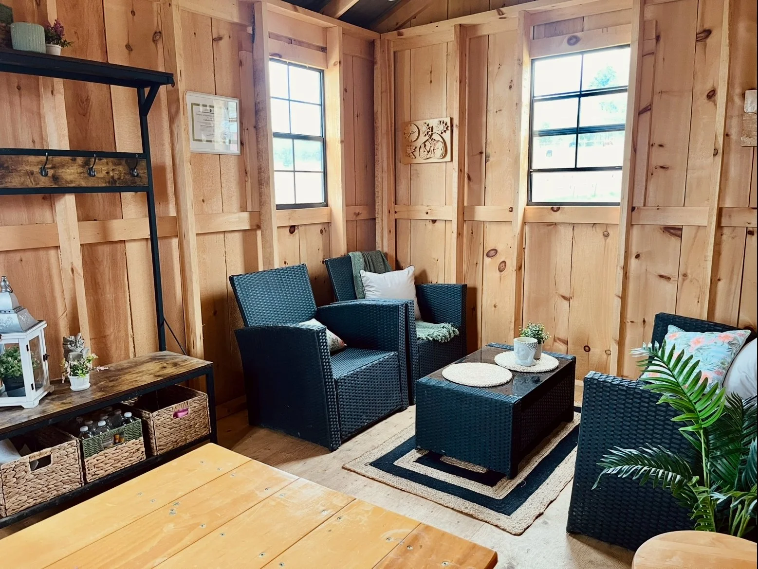 Therapy Office