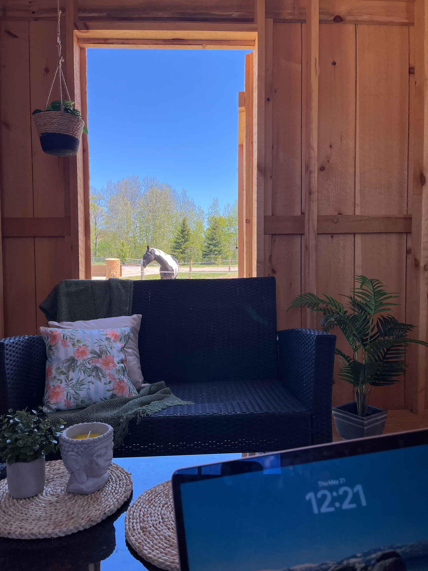 Office Views 