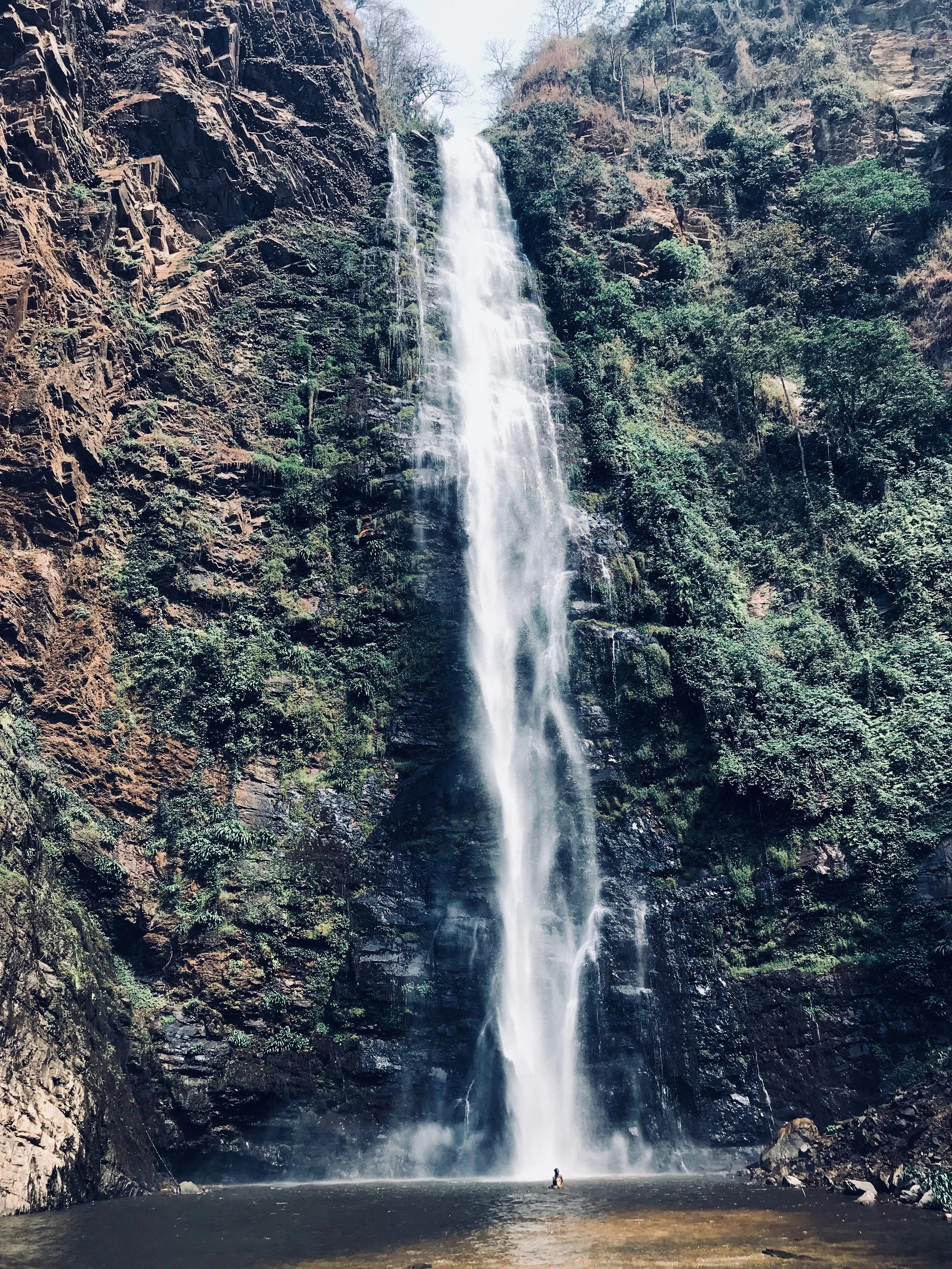 IMG_0208.jpeg