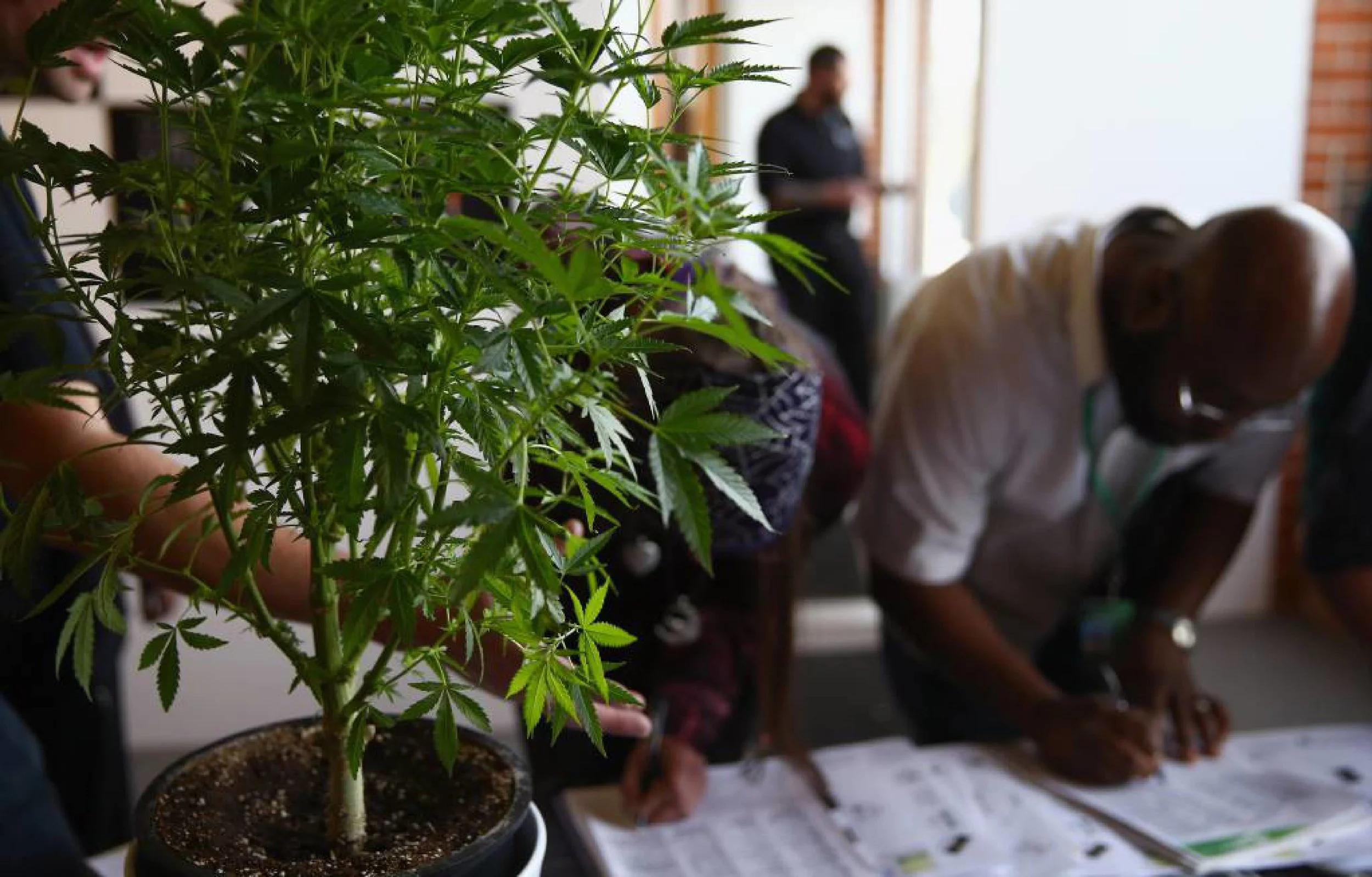 marijuana-business-job-fair-1024x655.jpg