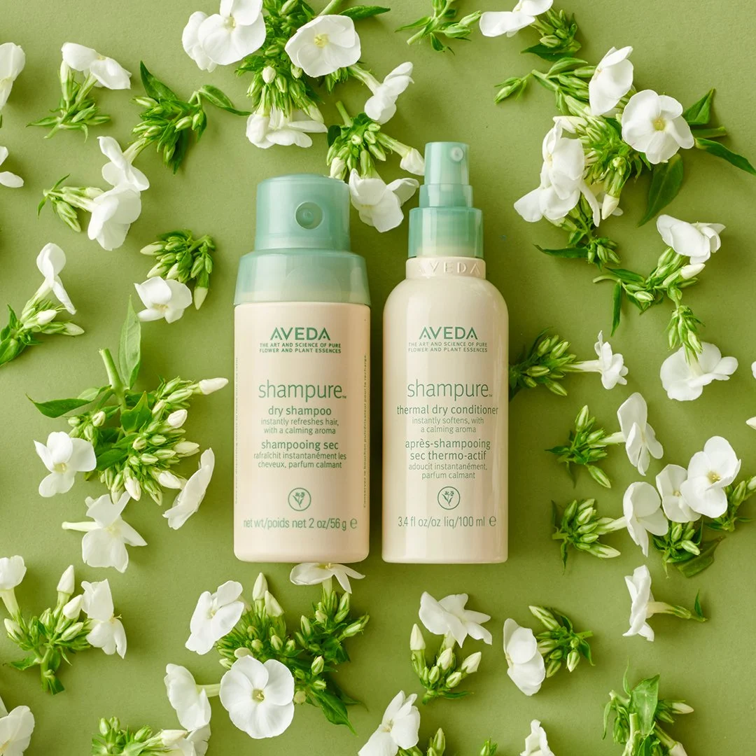 shampure dry shampoo and conditioner.jpg