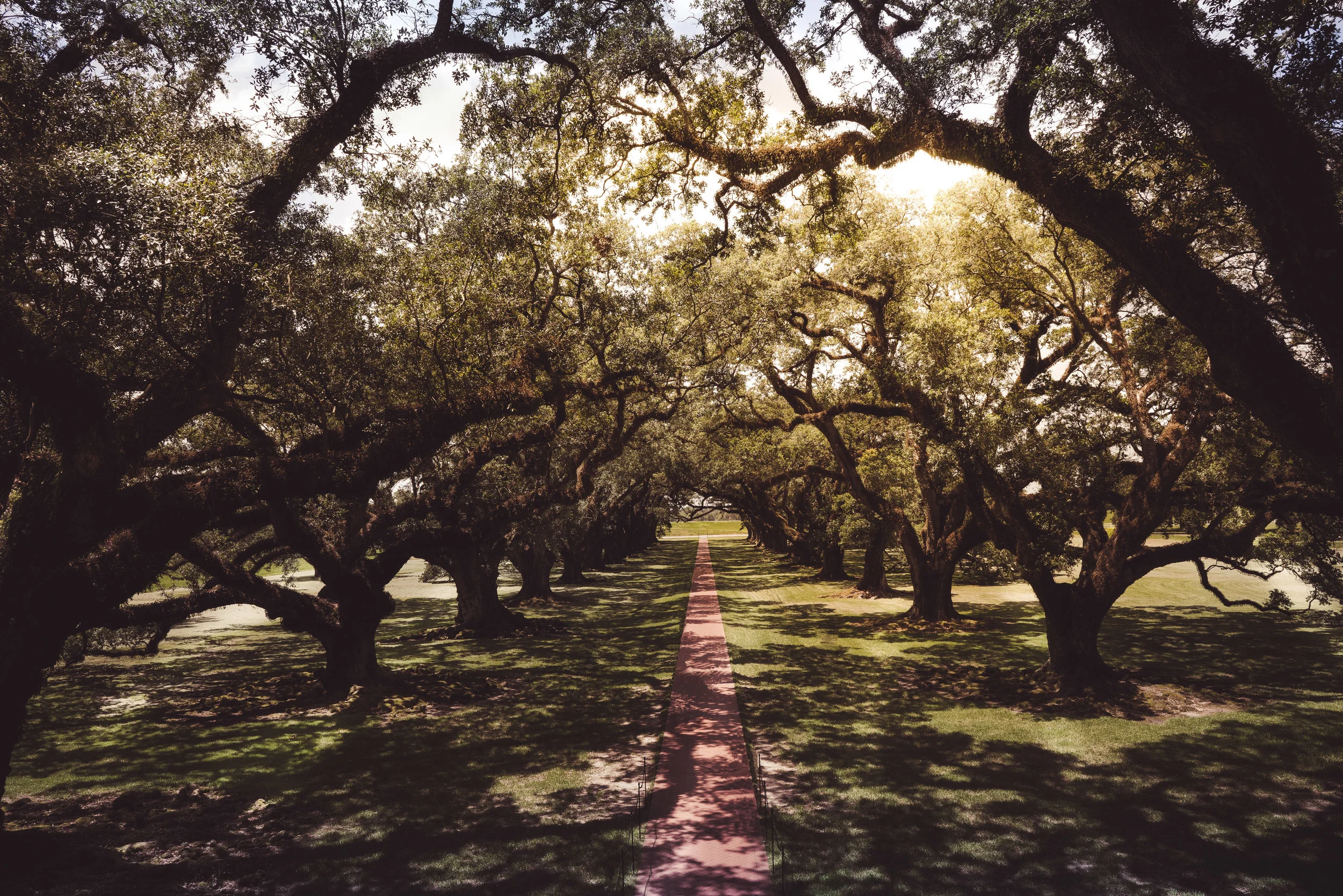 Oak Alley Plantation.jpg
