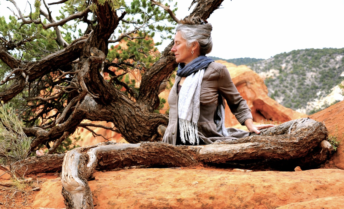 Screen Shot 2024-12-15 at 3.19.35 PM.png