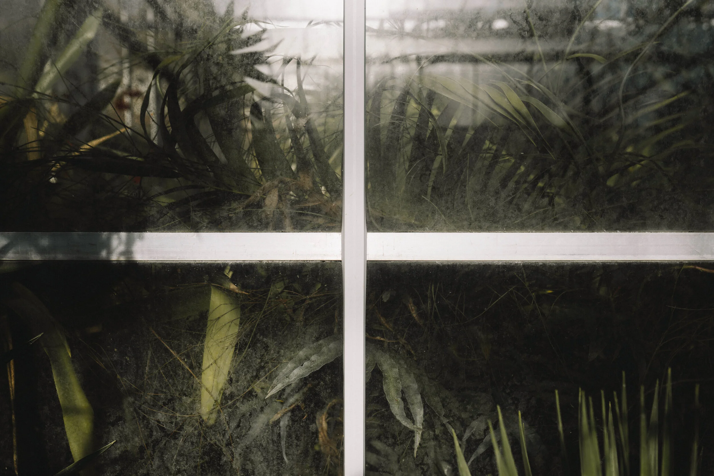 Botanics.jpg