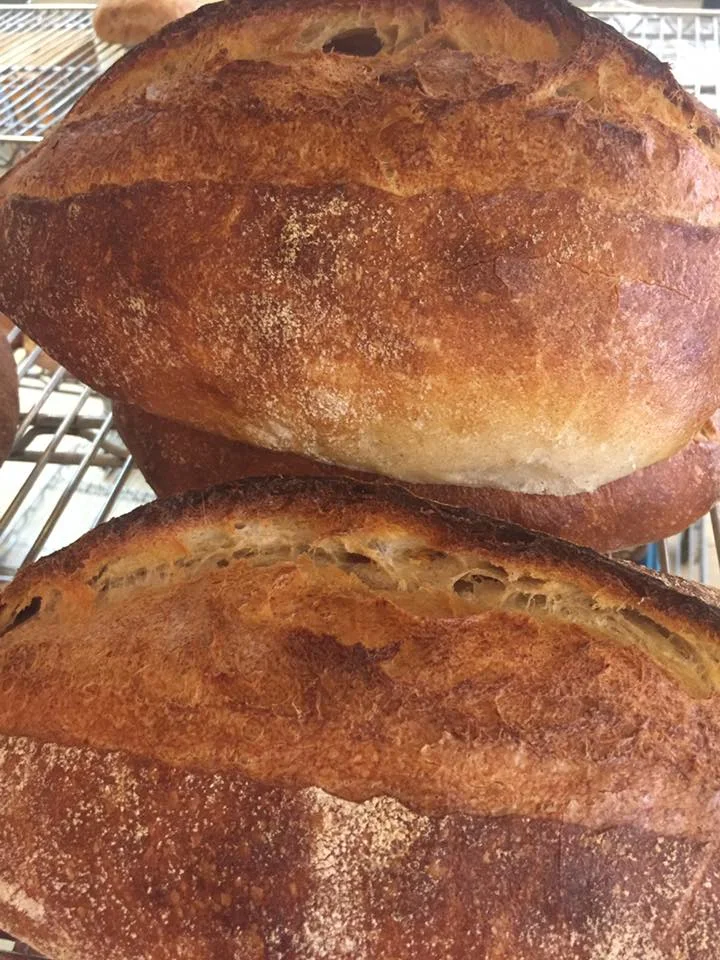 Sourdough Bread