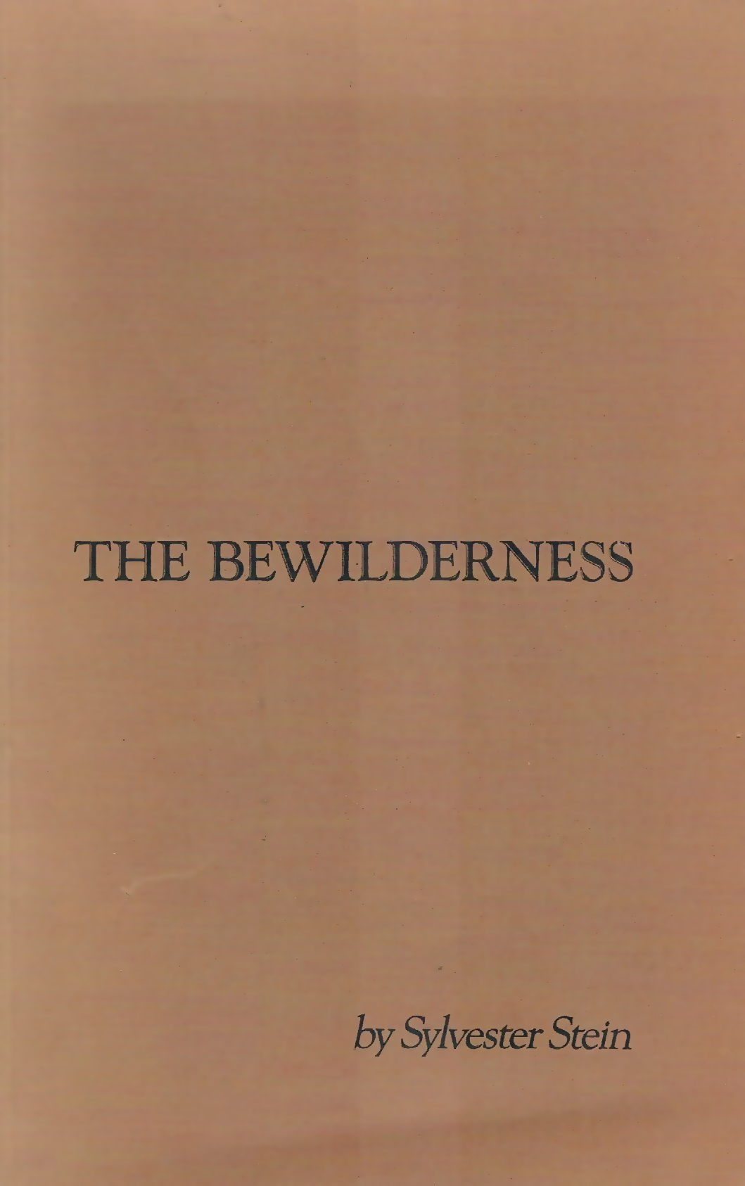 The Bewilderness.png