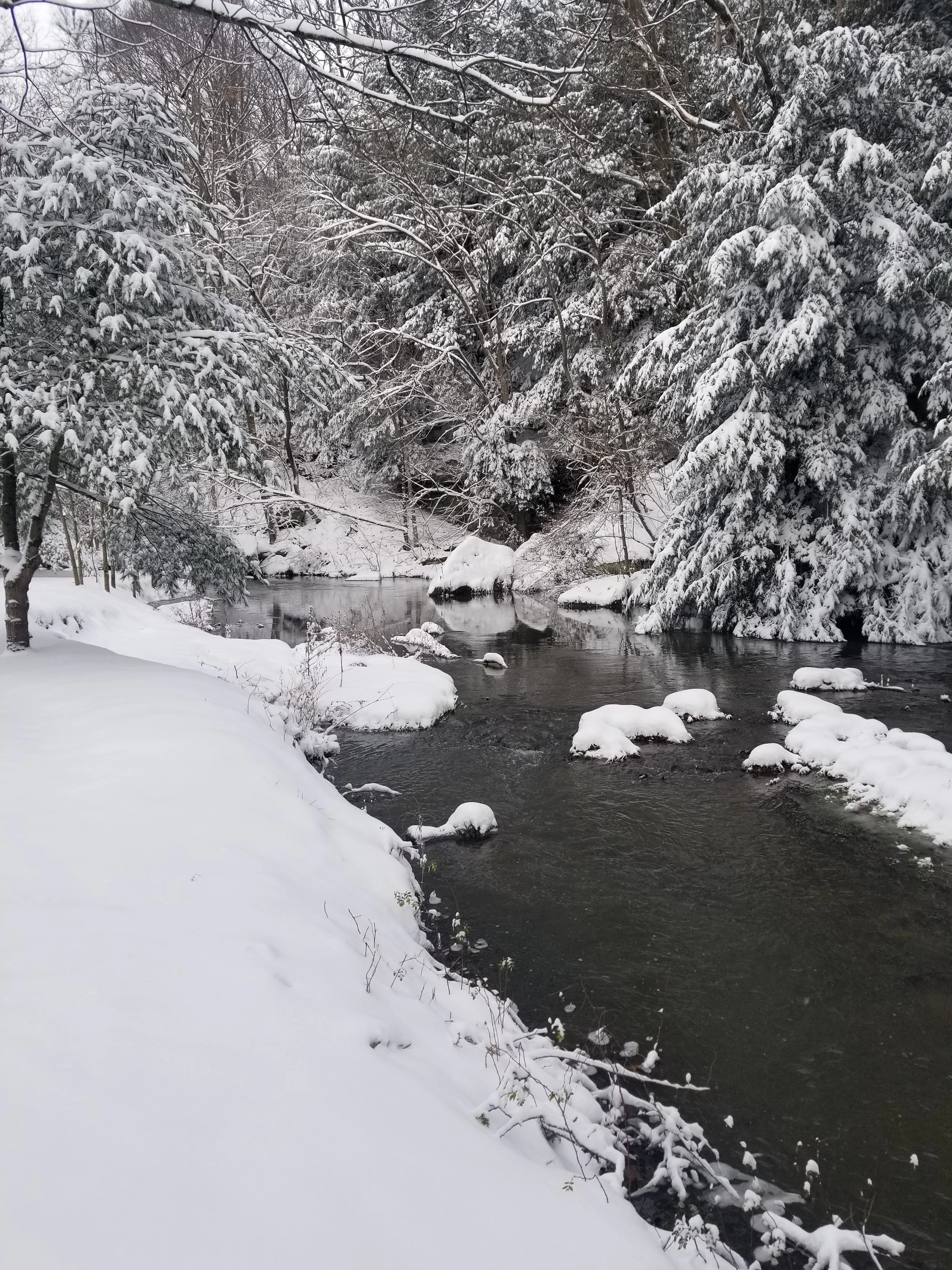creek 1.jpg