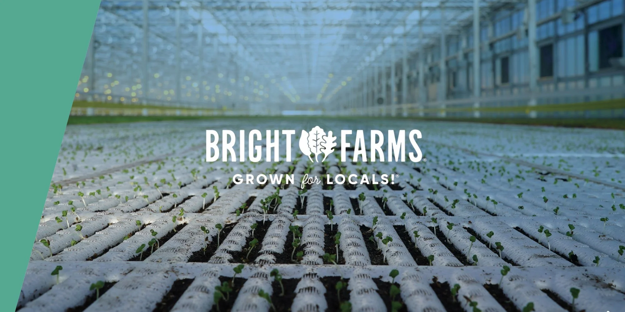 BrightFarms_3.jpg