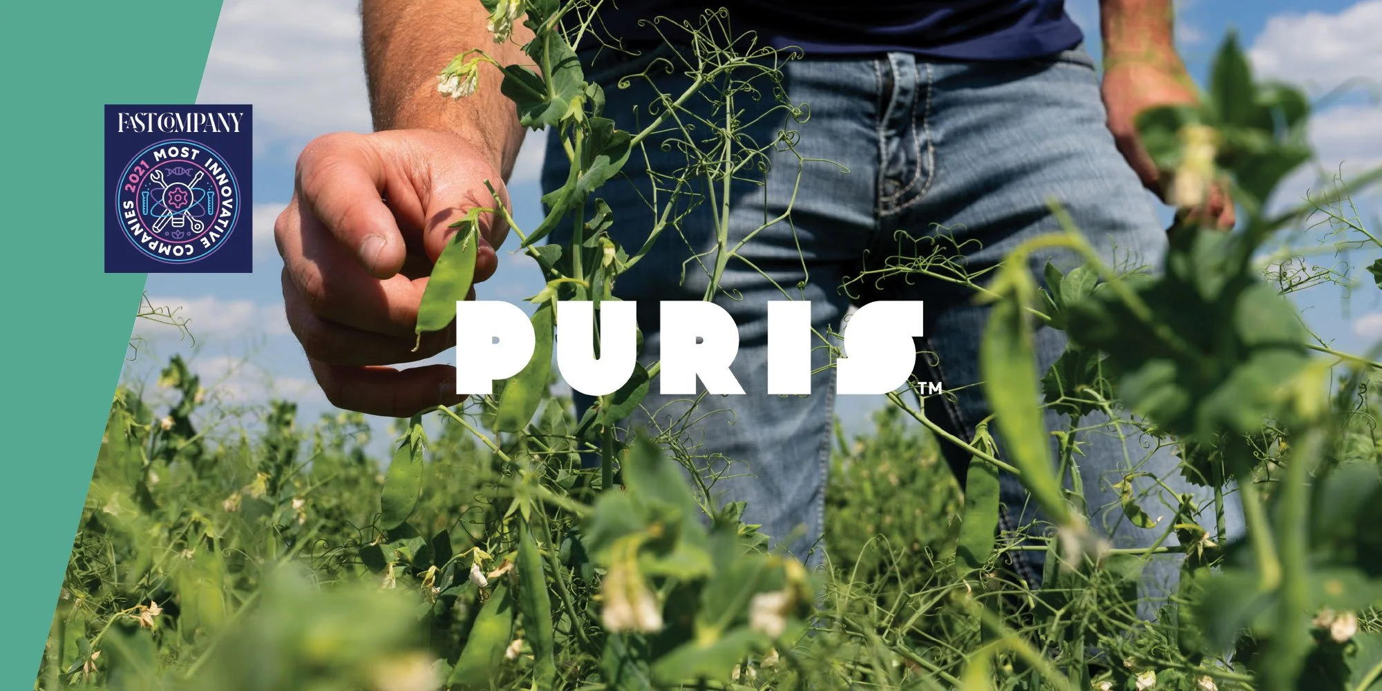 Puris_field.jpg