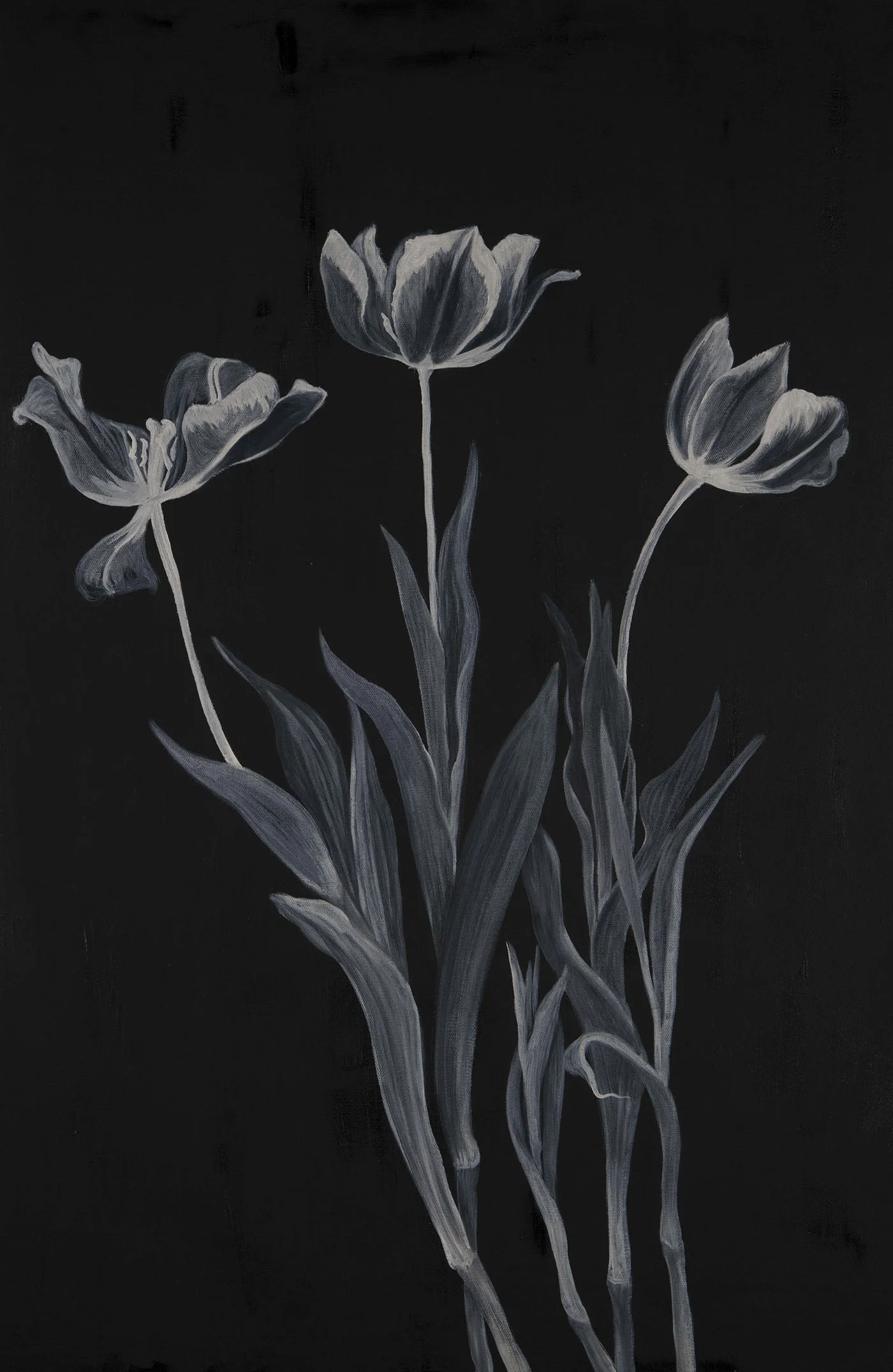flower013-lo.jpg