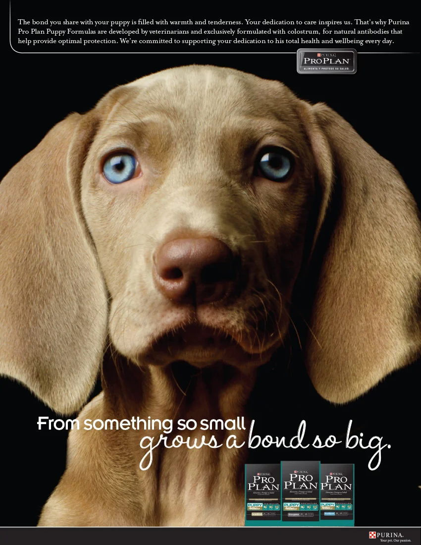 ProPlan Puppy Ad3.jpg