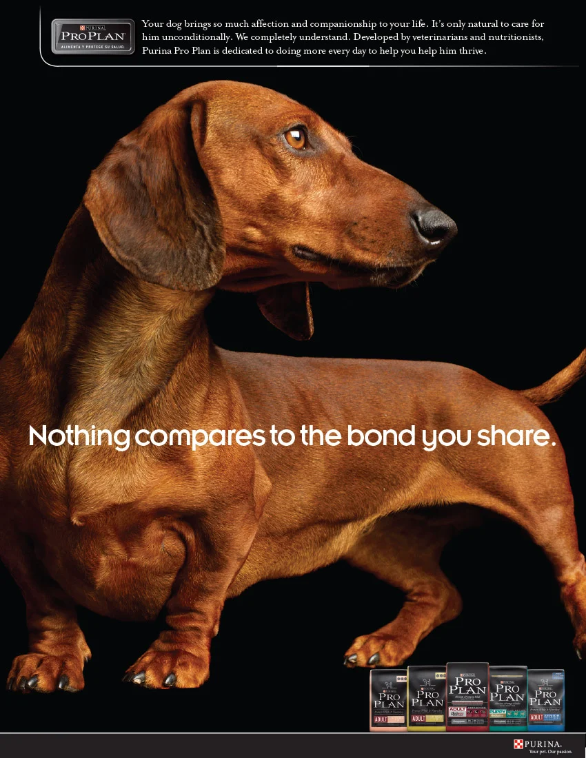 ProPlan Adult Ad1.jpg