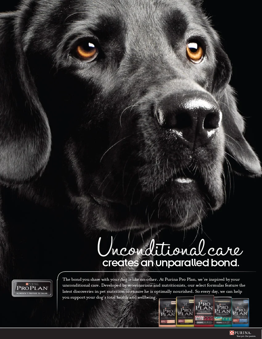 ProPlan Adult Ad 3.jpg