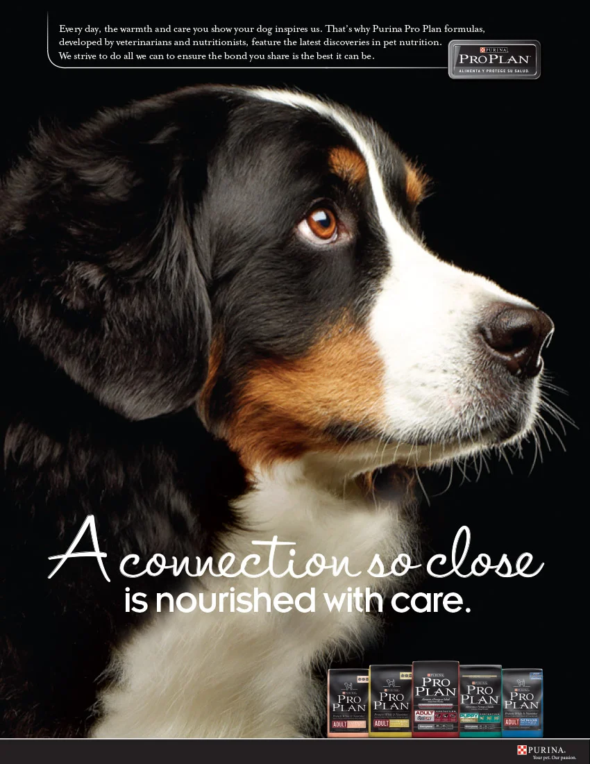 ProPlan Adult Ad4.jpg