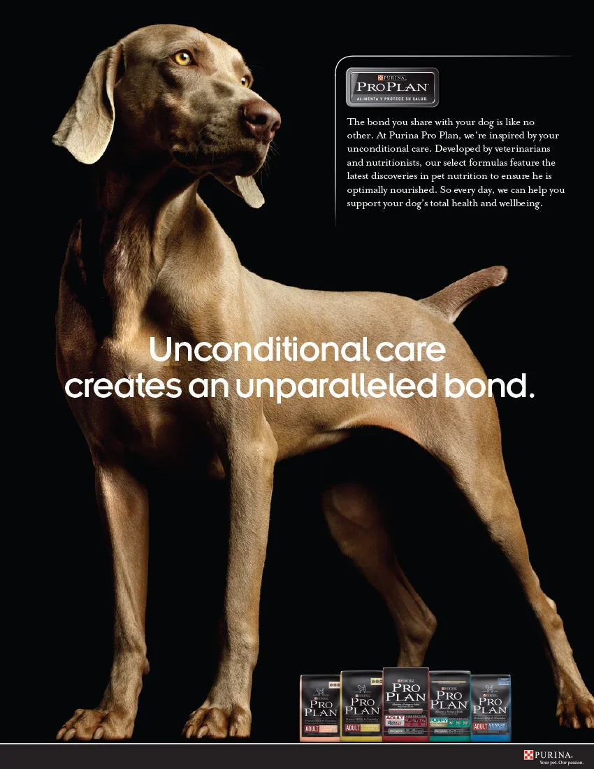 ProPlan Adult Ad2.jpg