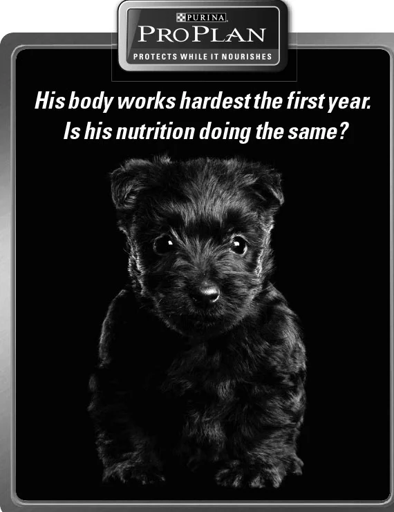 ProPlan Puppy POS5.jpg