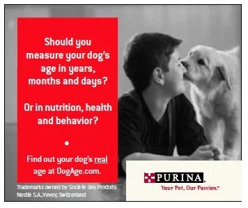 1-Screen Shot 2023-08-30 at 3.50.26 PM.jpg