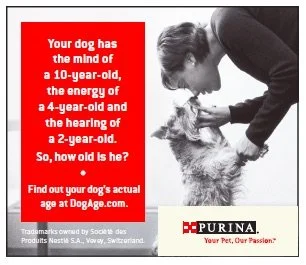 Screen Shot 2023-08-30 at 3.50.13 PM.jpg