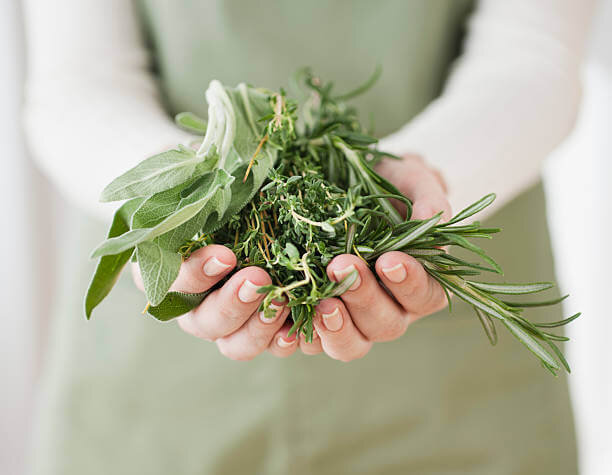 woman-holding-herbs-picture-id116360187.jpeg