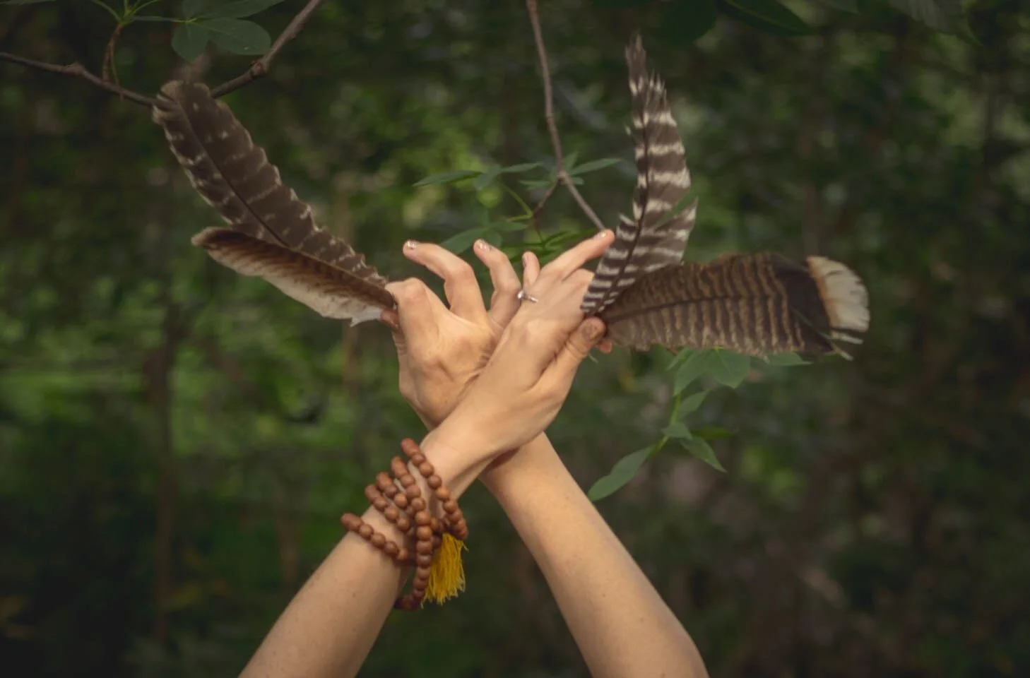 Wild Meditations in Life