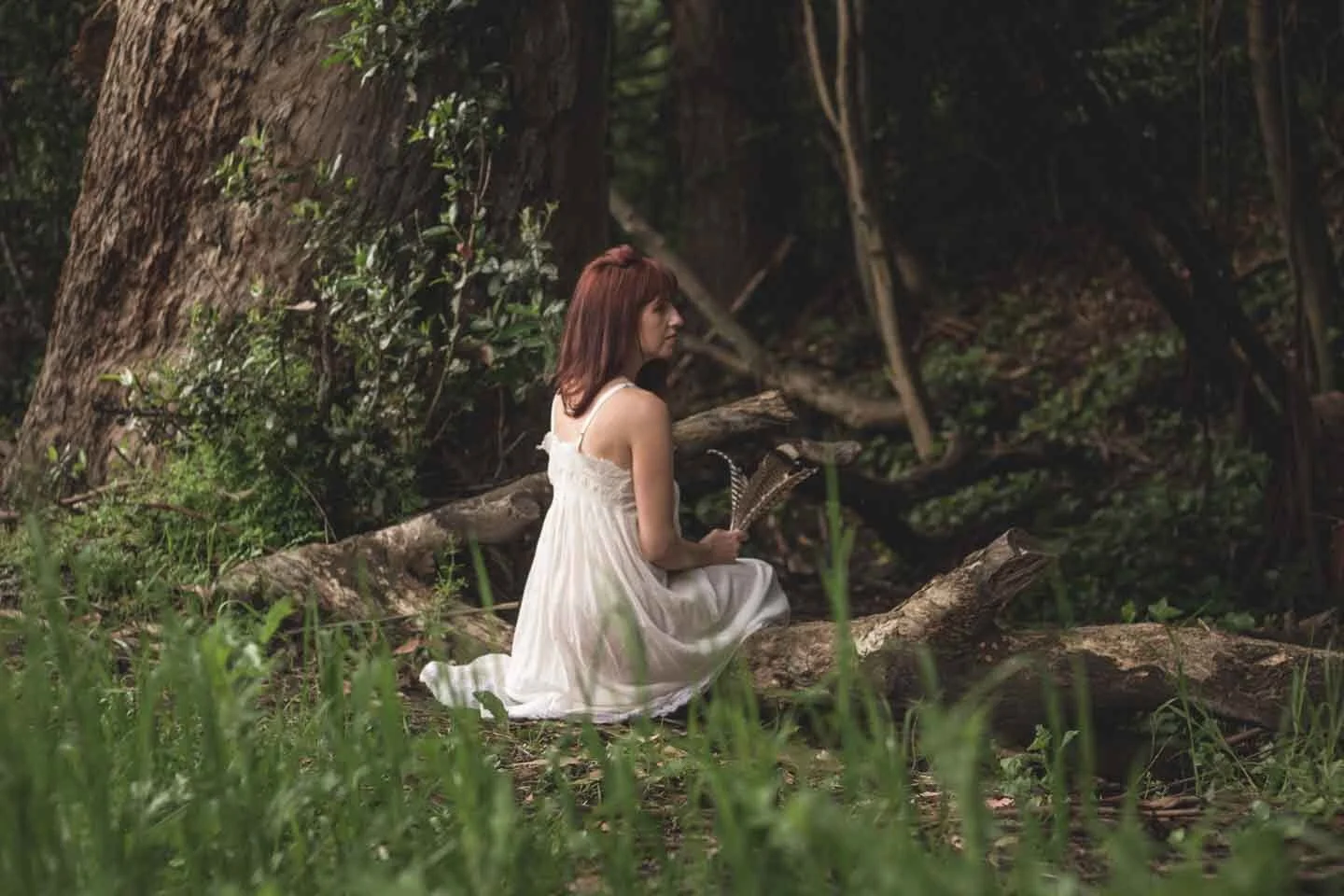 Forgotten but not lost