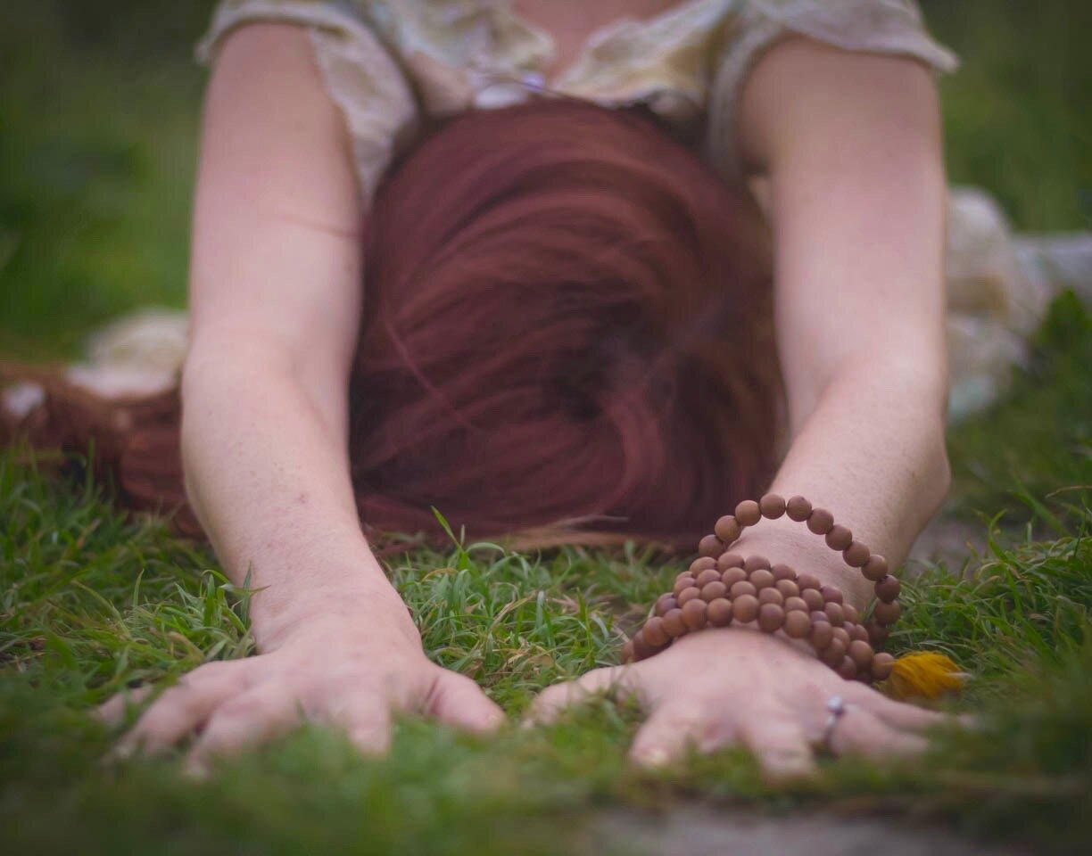 The Beginnings of a Wild Life