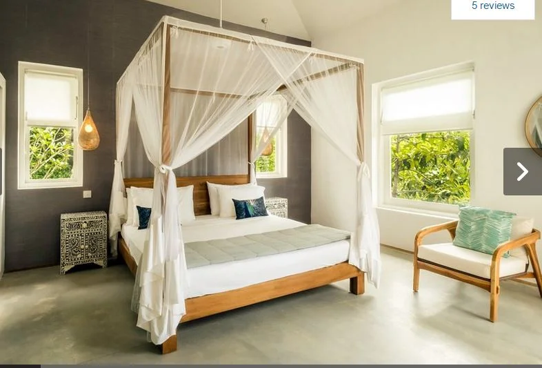 pepper tree beds.JPG