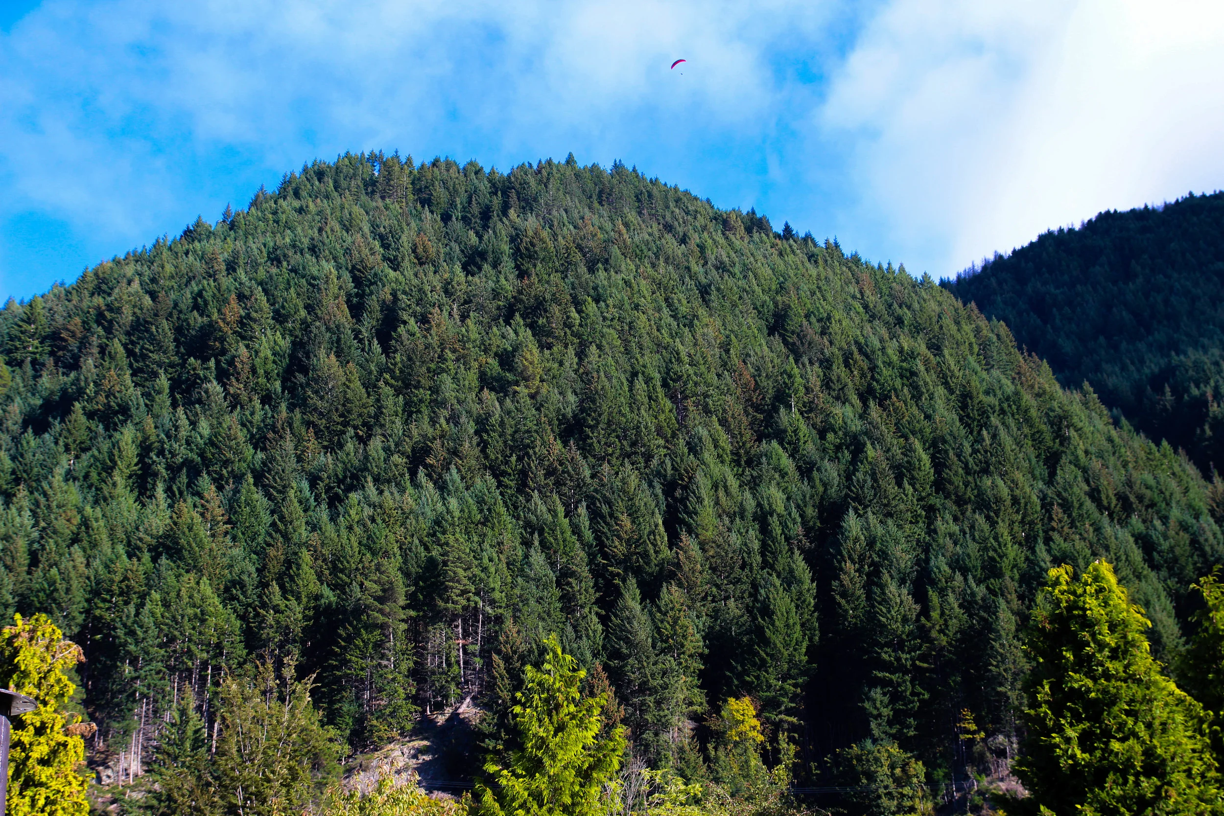 Queenstown1.jpg