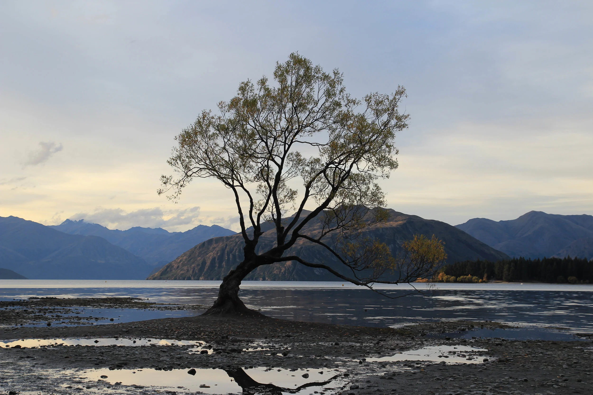 Wanaka3.jpg