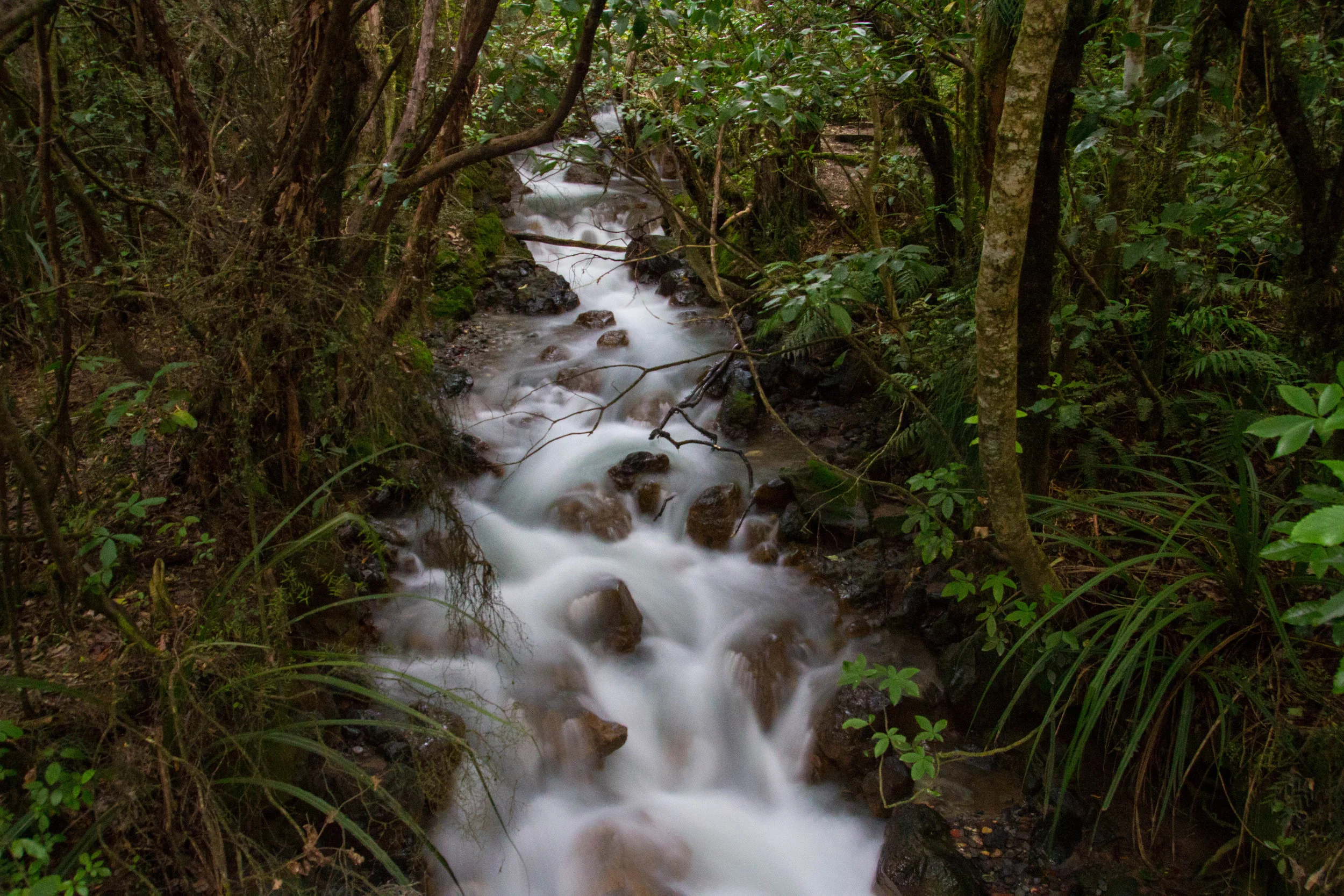 Tongariro8.jpg