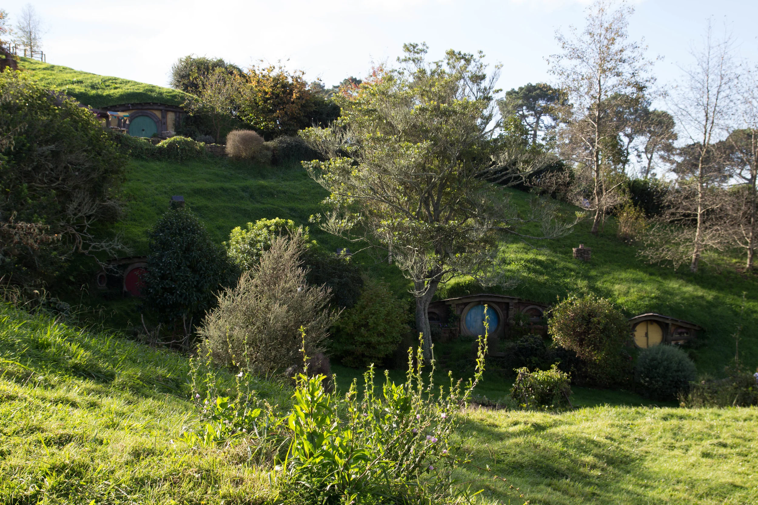 Hobbiton17.jpg
