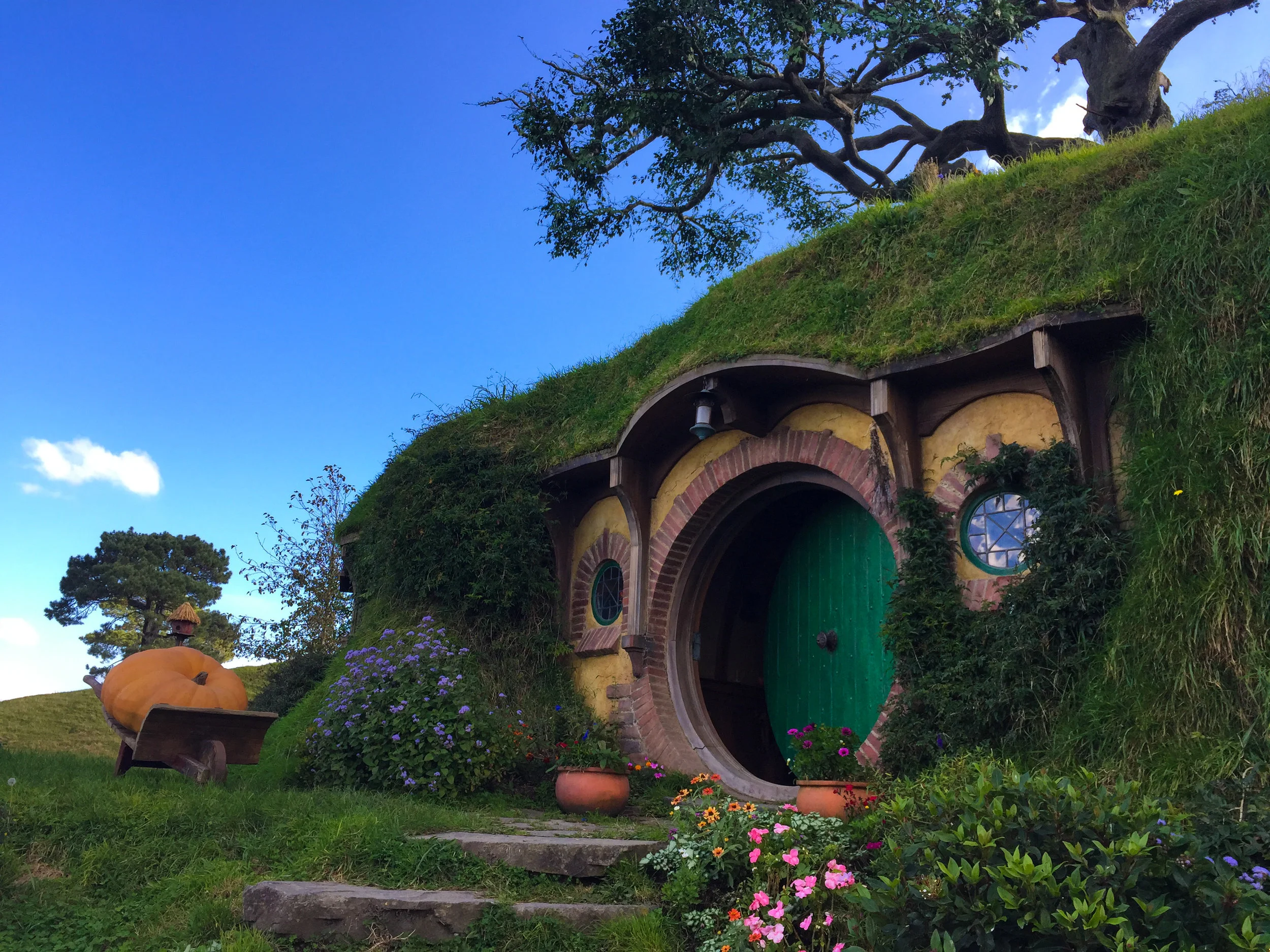 Hobbiton26.jpg