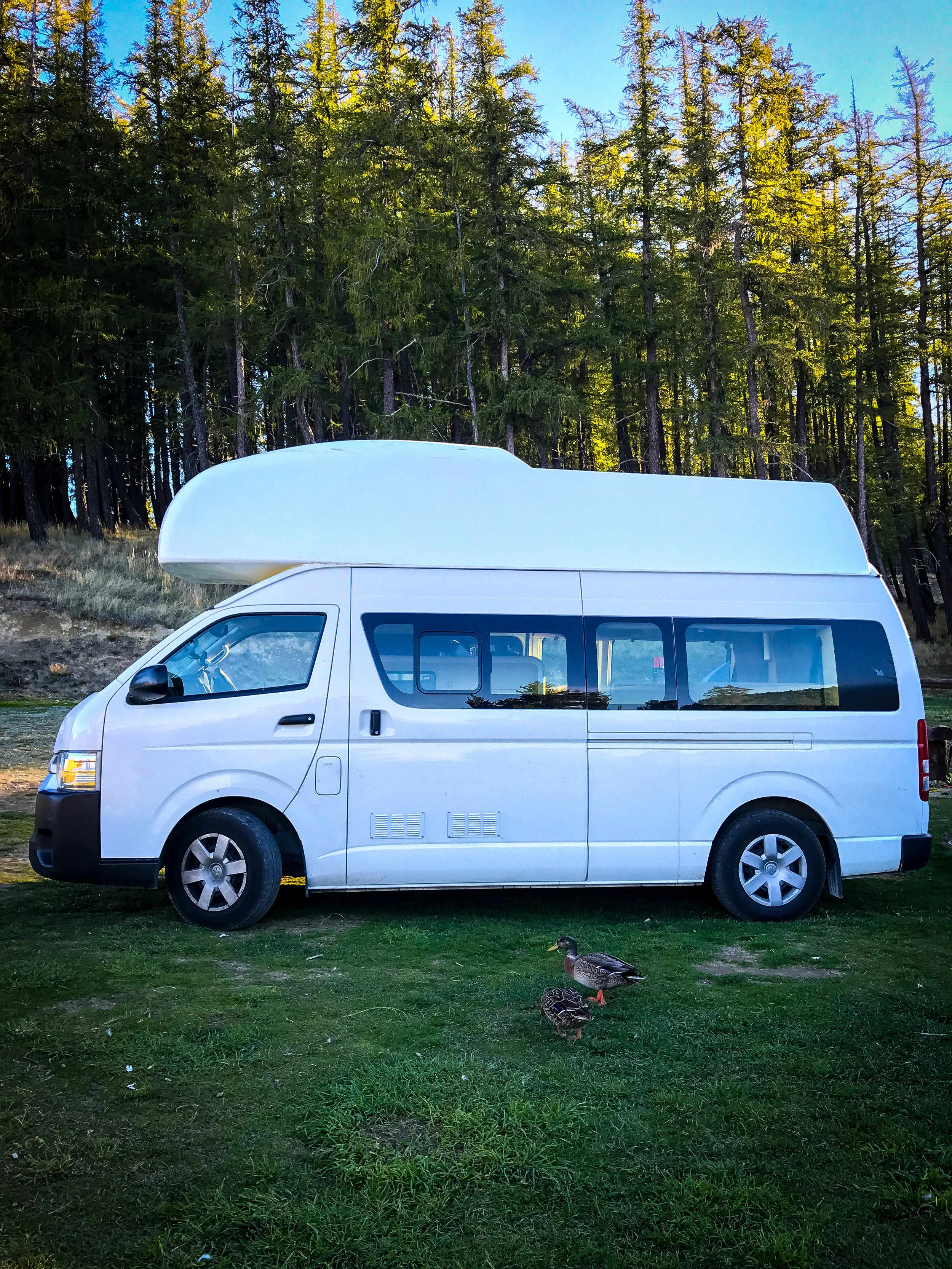 Campervan6.jpg