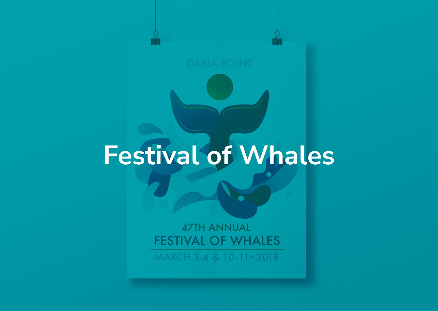 Festival-of-Whales_Site_Cover Image.png