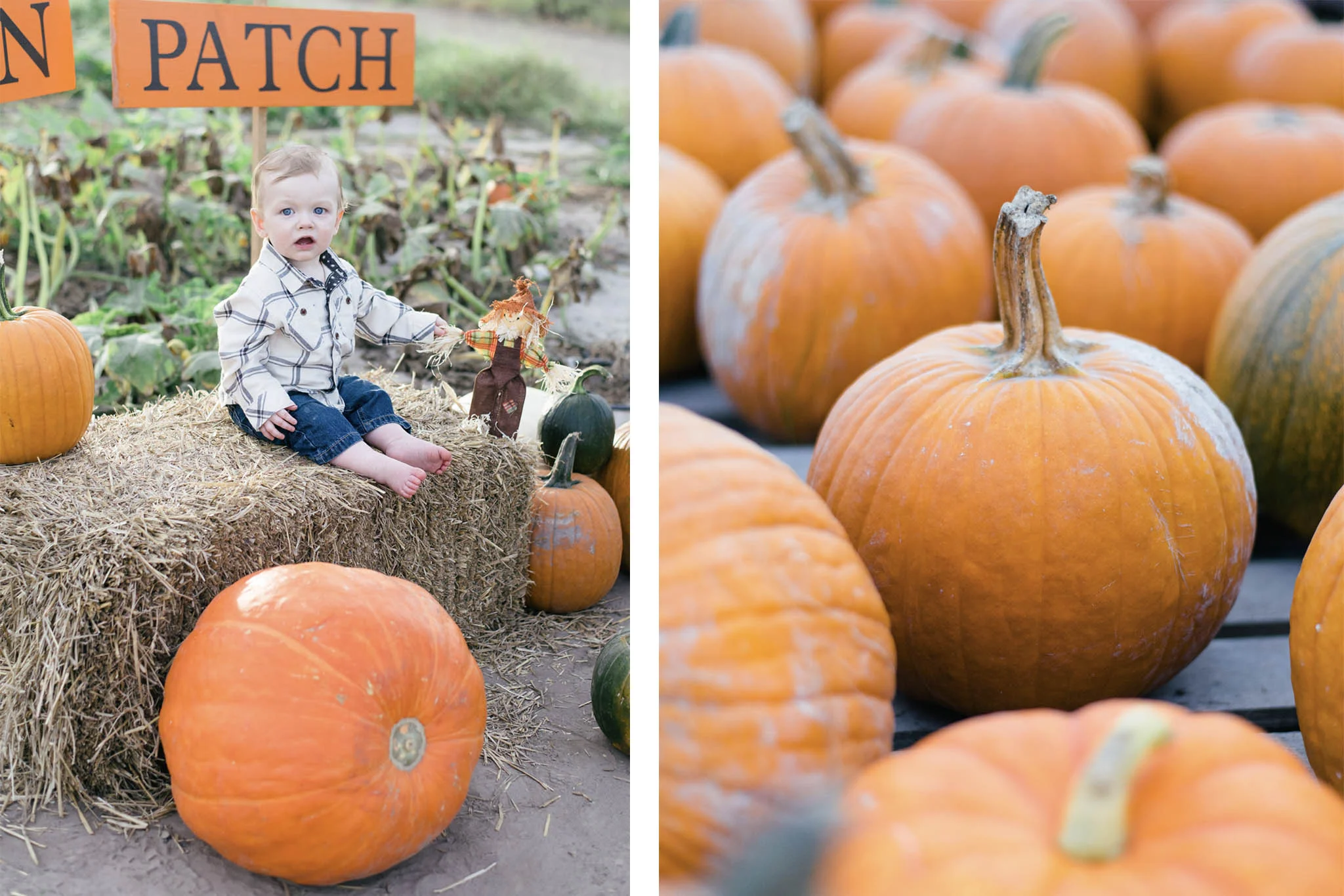Fall Family Pictures Brittany Sue Photo.jpg