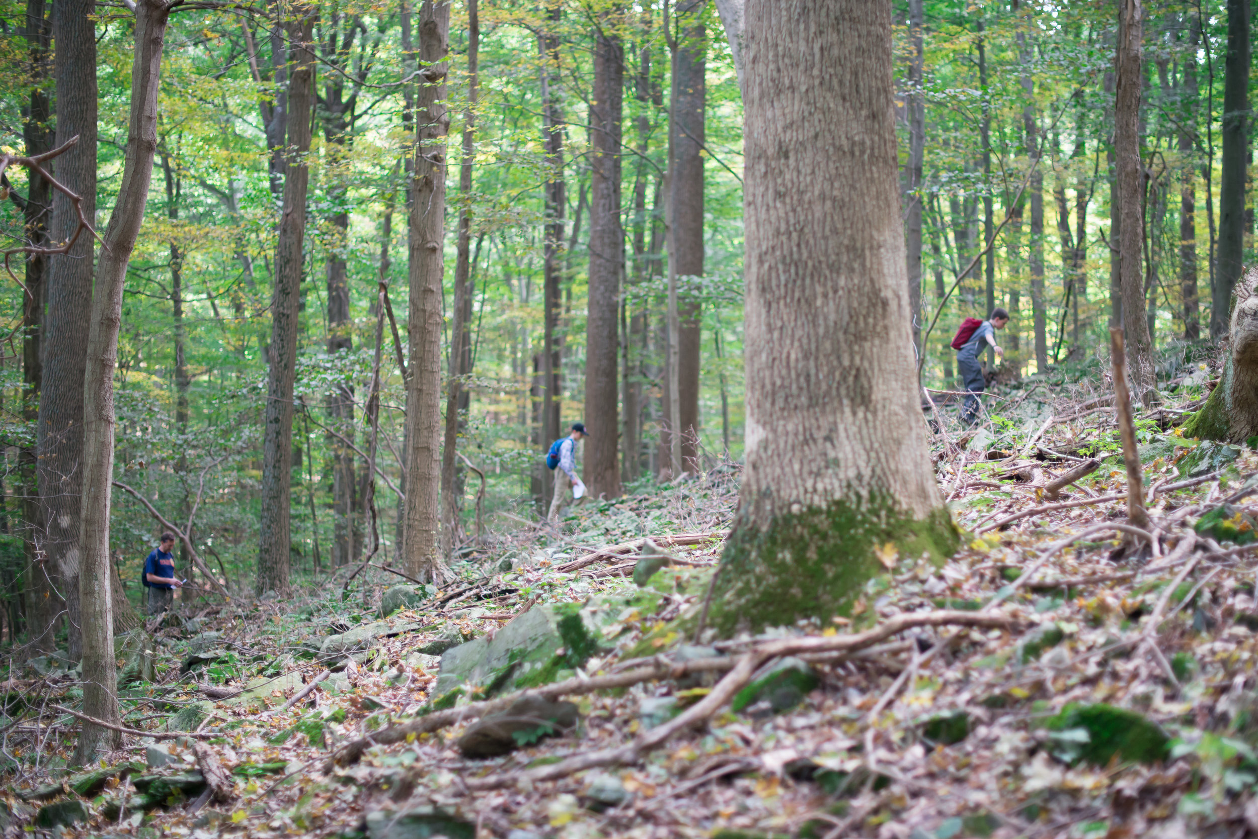 Catoctin_BSA Troop 1978_6937.jpg