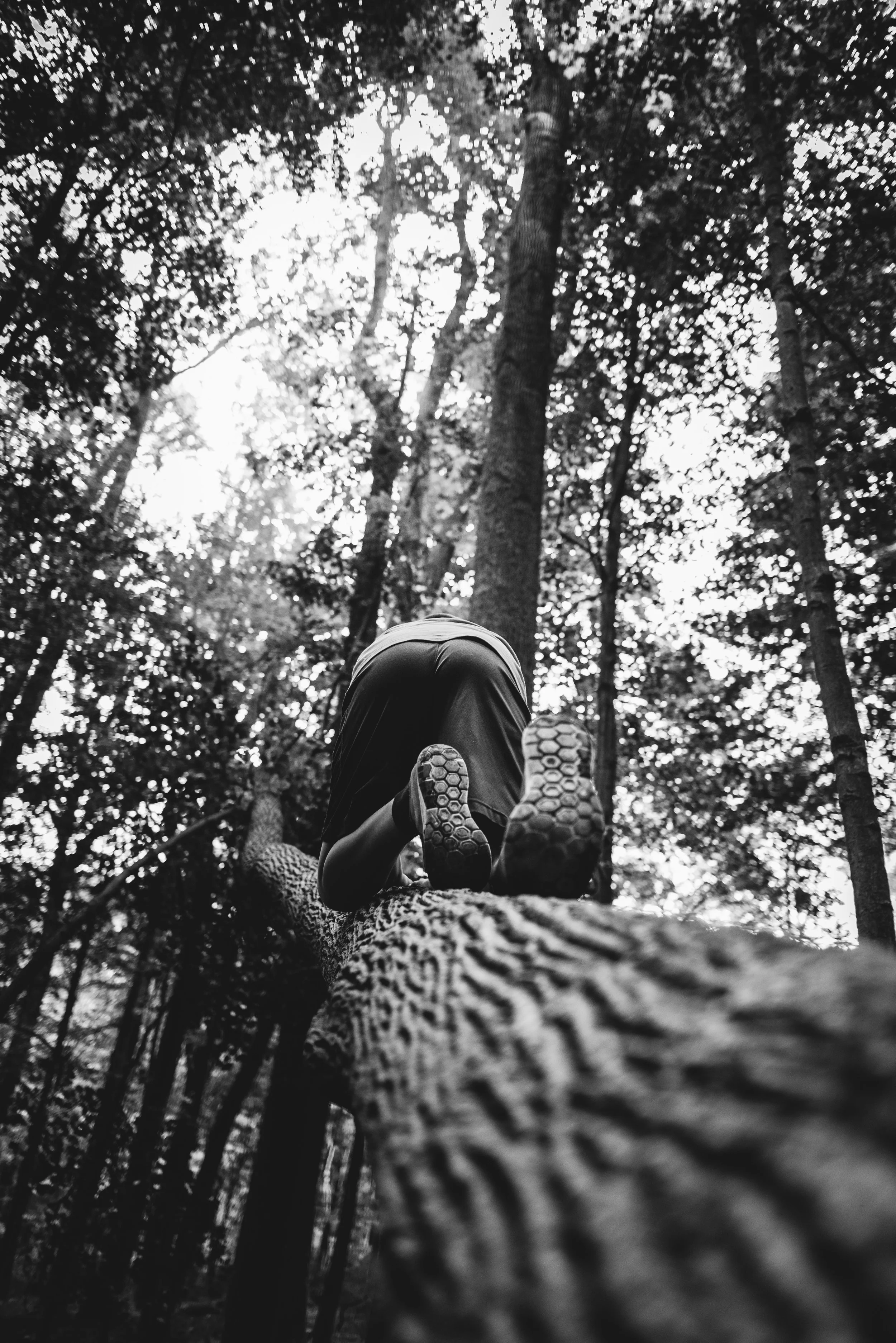 Catoctin_Tara Olson Photography_6997.jpg