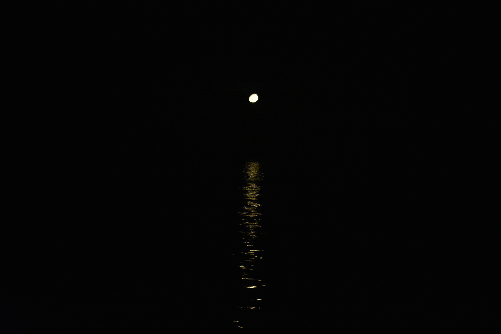 DSC_0263.jpg