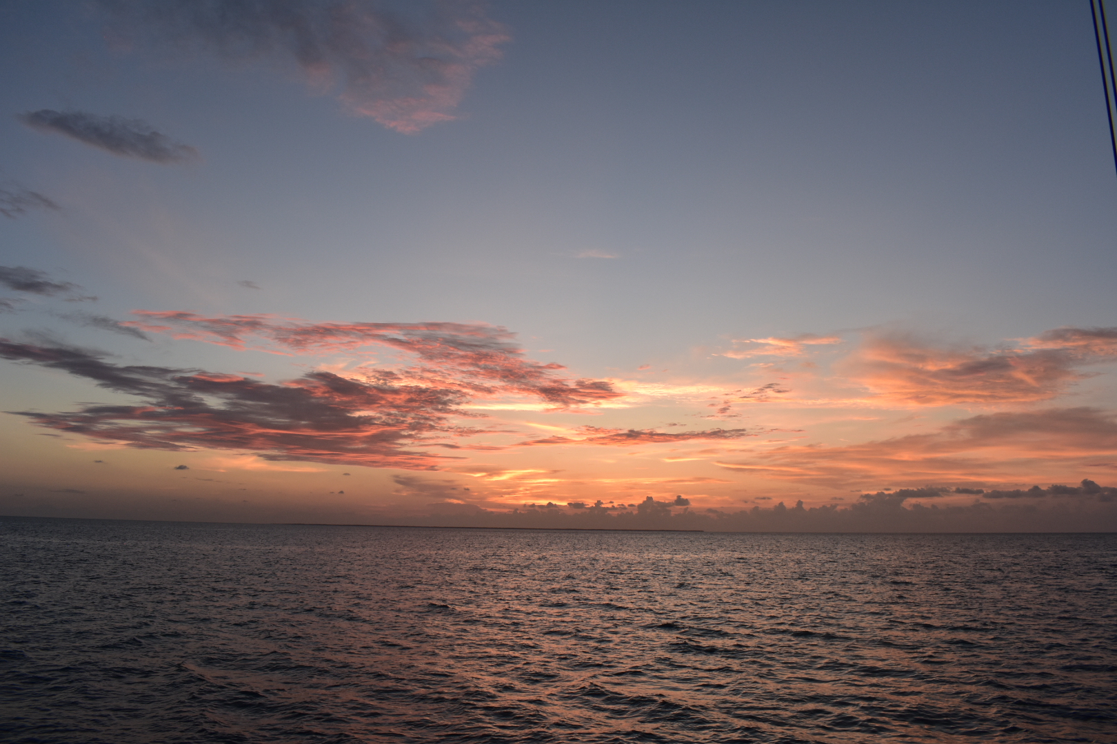DSC_0242.jpg