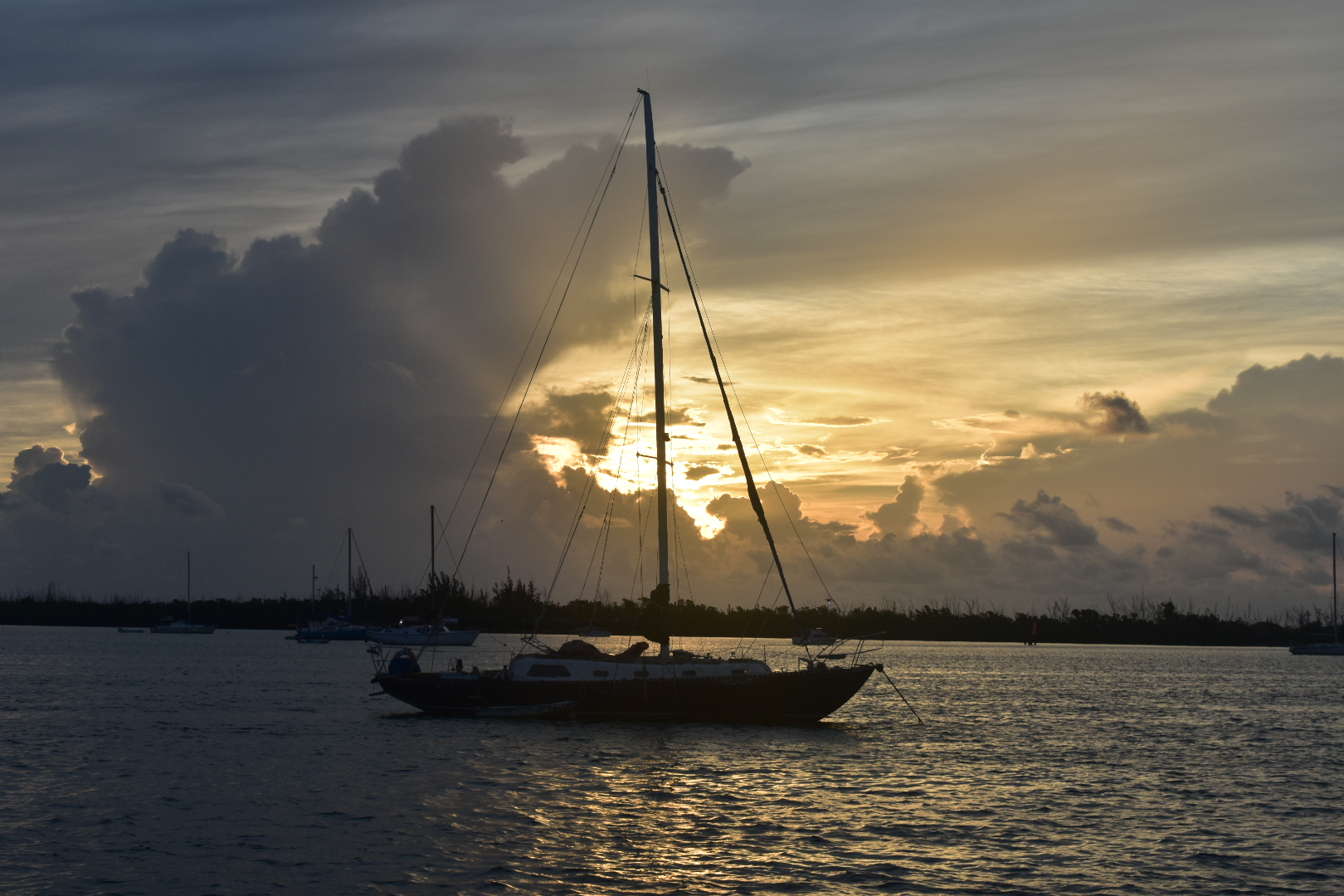 DSC_0292.jpg