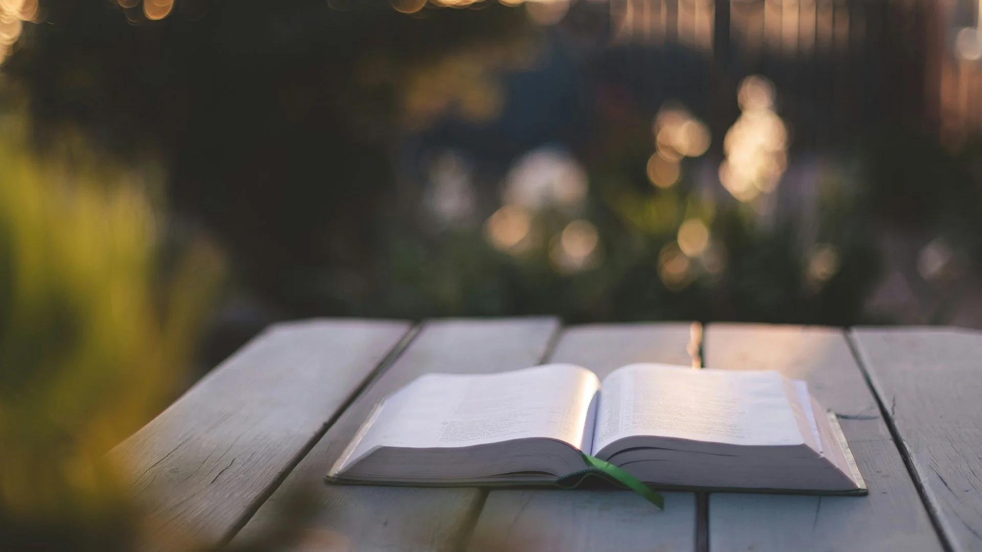 Womens Bible Study WEBSITE.jpg