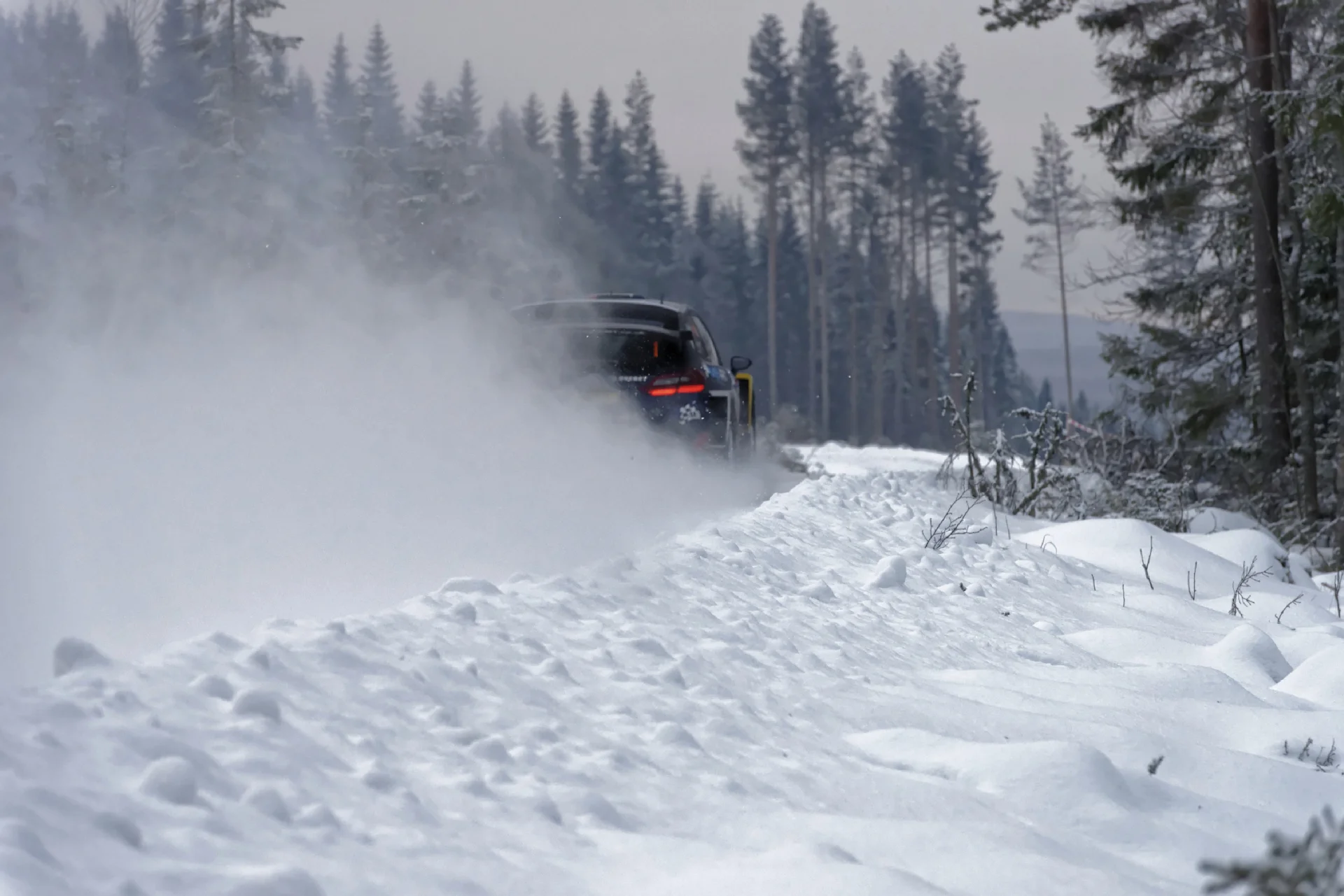 WRC 2_31_web.jpg